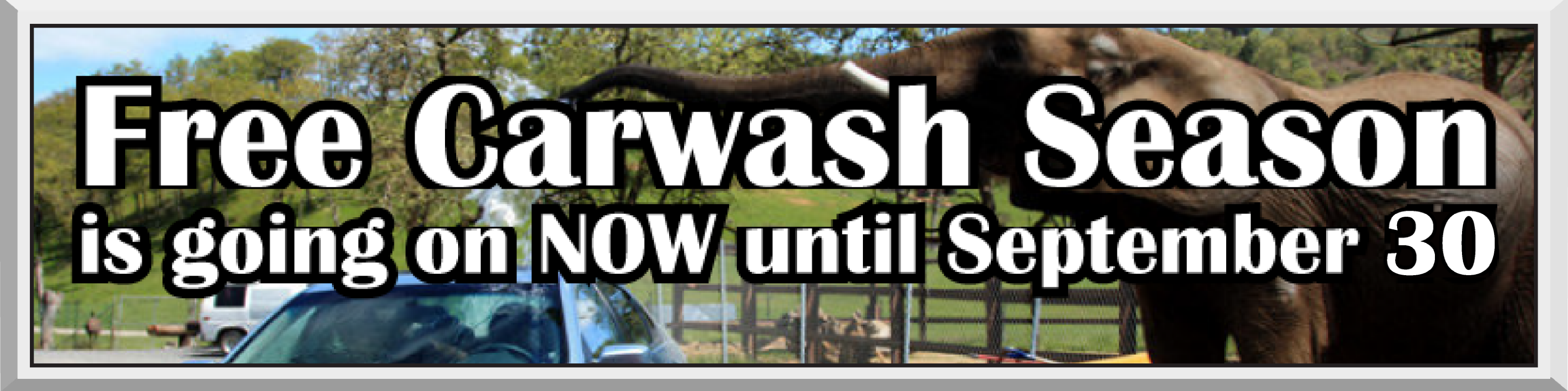 Free Carwash Season