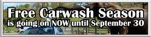 Free-Carwash-Season