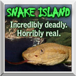 Popcorn- Snake Island